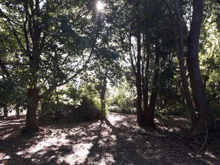 Foto 10 de Terreno venta - 20x56mts - 1119mts2 totales - El Rodeo, Abasto, La Plata