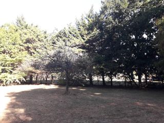 Foto 2 de Terreno venta - 20x56mts - 1119mts2 totales - El Rodeo, Abasto, La Plata