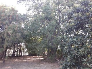 Foto 7 de Terreno venta - 20x56mts - 1119mts2 totales - El Rodeo, Abasto, La Plata
