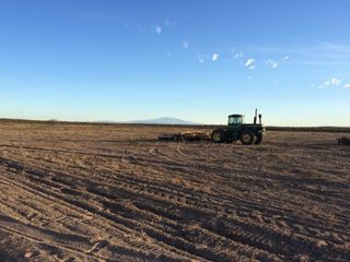 Foto 1 de Campo  con infraestructura -Gral.Alvear- Mendoza