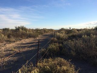 Foto 4 de Campo  con infraestructura -Gral.Alvear- Mendoza