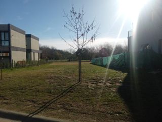 Foto 2 de Terreno en Santa Elena