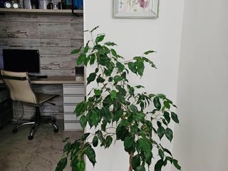 Foto 13 de Excelente oportunidad, loft en venta de 42m2 con cochera. Distrito Quartier, Retiro.