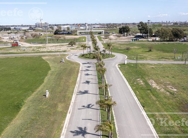 place photo 41