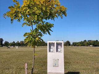 Foto 9 de Terreno - Longchamps