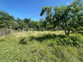 Foto 18 de VENDO ESPECTACULAR LOTE URBANIZABLE DE 1 HÉCTAREA EN VDA. SAN LORENZO, GIRARDOT