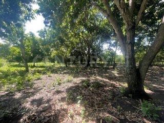 Foto 16 de VENDO ESPECTACULAR LOTE URBANIZABLE DE 1 HÉCTAREA EN VDA. SAN LORENZO, GIRARDOT