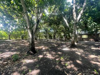 Foto 13 de VENDO ESPECTACULAR LOTE URBANIZABLE DE 1 HÉCTAREA EN VDA. SAN LORENZO, GIRARDOT