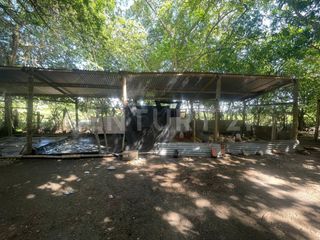 Foto 7 de VENDO ESPECTACULAR LOTE URBANIZABLE DE 1 HÉCTAREA EN VDA. SAN LORENZO, GIRARDOT