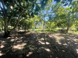 Foto 12 de VENDO ESPECTACULAR LOTE URBANIZABLE DE 1 HÉCTAREA EN VDA. SAN LORENZO, GIRARDOT