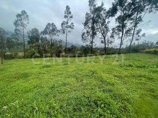 Foto 4 de VENDO 4 LOTES SEGUIDOS DESDE 11.500m2 a 15.570m2 EN SUBIA SILVANIA,CUNDINAMARCA