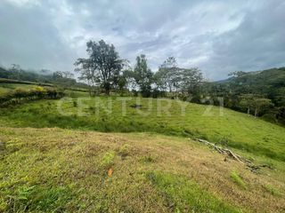 Foto 6 de VENDO 4 LOTES SEGUIDOS DESDE 11.500m2 a 15.570m2 EN SUBIA SILVANIA,CUNDINAMARCA