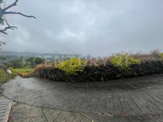 Foto 2 de VENDO 4 LOTES SEGUIDOS DESDE 11.500m2 a 15.570m2 EN SUBIA SILVANIA,CUNDINAMARCA