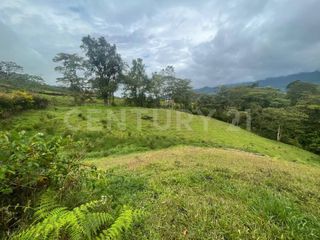 Foto 7 de VENDO 4 LOTES SEGUIDOS DESDE 11.500m2 a 15.570m2 EN SUBIA SILVANIA,CUNDINAMARCA
