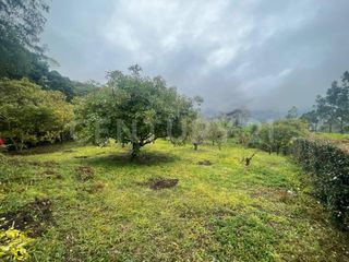 Foto 15 de VENDO 4 LOTES SEGUIDOS DESDE 11.500m2 a 15.570m2 EN SUBIA SILVANIA,CUNDINAMARCA