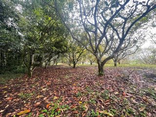 Foto 14 de VENDO 4 LOTES SEGUIDOS DESDE 11.500m2 a 15.570m2 EN SUBIA SILVANIA,CUNDINAMARCA
