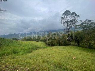 Foto 10 de VENDO 4 LOTES SEGUIDOS DESDE 11.500m2 a 15.570m2 EN SUBIA SILVANIA,CUNDINAMARCA