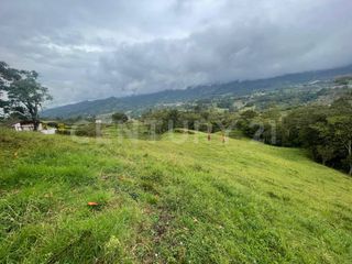 Foto 8 de VENDO 4 LOTES SEGUIDOS DESDE 11.500m2 a 15.570m2 EN SUBIA SILVANIA,CUNDINAMARCA