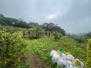 Foto 3 de VENDO LOTES DE 11.500m2 y 12.500m2 EN SUBIA SILVANIA,CUNDINAMARCA