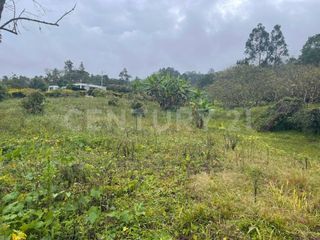 Foto 11 de VENDO LOTES DE 11.500m2 y 12.500m2 EN SUBIA SILVANIA,CUNDINAMARCA