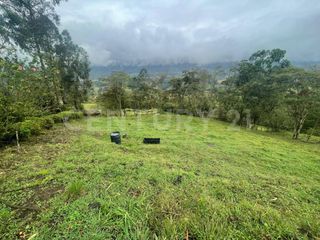 Foto 5 de VENDO LOTES DE 11.500m2 y 12.500m2 EN SUBIA SILVANIA,CUNDINAMARCA