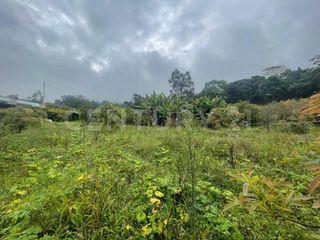 Foto 14 de VENDO LOTES DE 11.500m2 y 12.500m2 EN SUBIA SILVANIA,CUNDINAMARCA