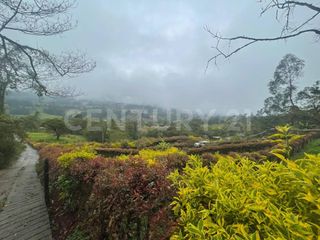 Foto 2 de VENDO LOTES DE 11.500m2 y 12.500m2 EN SUBIA SILVANIA,CUNDINAMARCA