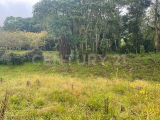 Foto 10 de VENDO LOTES DE 11.500m2 y 12.500m2 EN SUBIA SILVANIA,CUNDINAMARCA