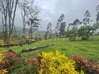 Foto 15 de VENDO LOTES DE 11.500m2 y 12.500m2 EN SUBIA SILVANIA,CUNDINAMARCA