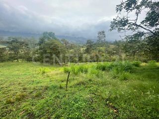 Foto 4 de VENDO LOTES DE 11.500m2 y 12.500m2 EN SUBIA SILVANIA,CUNDINAMARCA