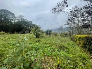 Foto 12 de VENDO LOTES DE 11.500m2 y 12.500m2 EN SUBIA SILVANIA,CUNDINAMARCA