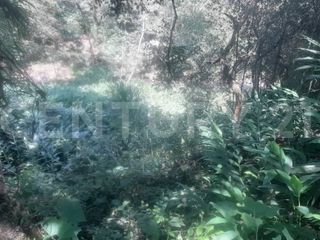 Foto 5 de VENDO  FINCA PEQUEÑA IDEAL PARA DESCANSAR EN SAN FRANCISCO CUNDINAMARCA