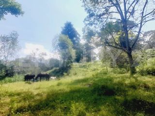 Foto 6 de VENDO  FINCA PEQUEÑA IDEAL PARA DESCANSAR EN SAN FRANCISCO CUNDINAMARCA