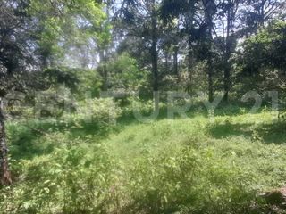 Foto 17 de VENDO  FINCA PEQUEÑA IDEAL PARA DESCANSAR EN SAN FRANCISCO CUNDINAMARCA