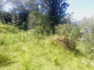 Foto 9 de VENDO  FINCA PEQUEÑA IDEAL PARA DESCANSAR EN SAN FRANCISCO CUNDINAMARCA