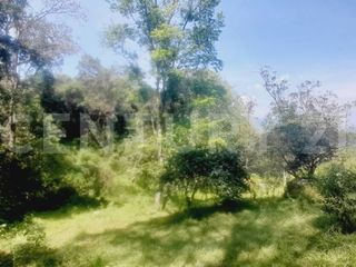 Foto 13 de VENDO  FINCA PEQUEÑA IDEAL PARA DESCANSAR EN SAN FRANCISCO CUNDINAMARCA