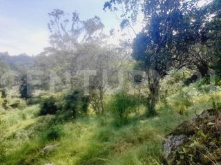 Foto 8 de VENDO  FINCA PEQUEÑA IDEAL PARA DESCANSAR EN SAN FRANCISCO CUNDINAMARCA