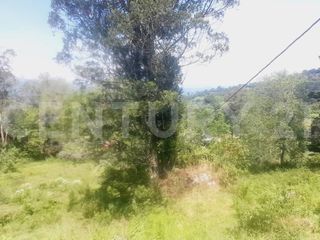 Foto 11 de VENDO  FINCA PEQUEÑA IDEAL PARA DESCANSAR EN SAN FRANCISCO CUNDINAMARCA
