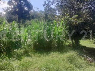 Foto 1 de VENDO  FINCA PEQUEÑA IDEAL PARA DESCANSAR EN SAN FRANCISCO CUNDINAMARCA