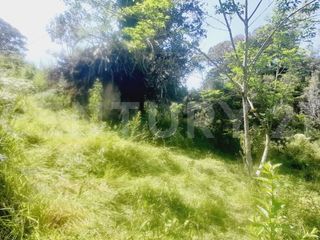 Foto 7 de VENDO  FINCA PEQUEÑA IDEAL PARA DESCANSAR EN SAN FRANCISCO CUNDINAMARCA