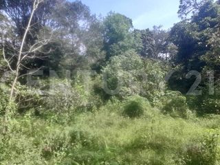 Foto 18 de VENDO  FINCA PEQUEÑA IDEAL PARA DESCANSAR EN SAN FRANCISCO CUNDINAMARCA