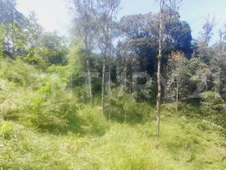 Foto 12 de VENDO  FINCA PEQUEÑA IDEAL PARA DESCANSAR EN SAN FRANCISCO CUNDINAMARCA