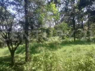 Foto 19 de VENDO  FINCA PEQUEÑA IDEAL PARA DESCANSAR EN SAN FRANCISCO CUNDINAMARCA