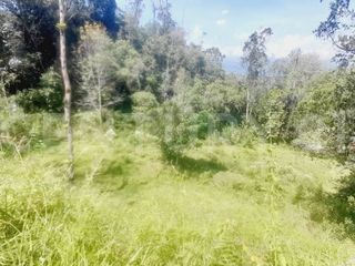 Foto 15 de VENDO  FINCA PEQUEÑA IDEAL PARA DESCANSAR EN SAN FRANCISCO CUNDINAMARCA
