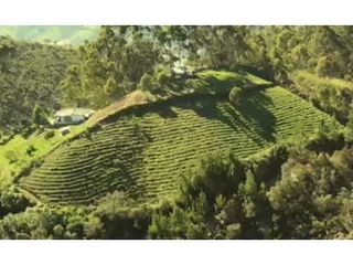 Foto 12 de Lote en venta en Guarne Vereda El Cano