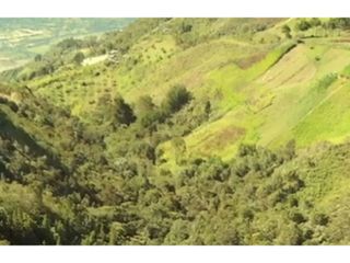Foto 15 de Lote en venta en Guarne Vereda El Cano