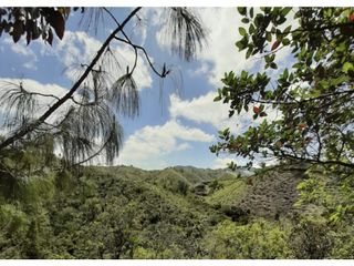 Foto 13 de Lote en venta en Guarne Vereda El Cano