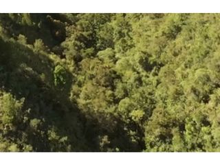 Foto 8 de Lote en venta en Guarne Vereda El Cano