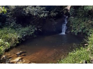 Foto 14 de Lote en venta en Guarne Vereda El Cano
