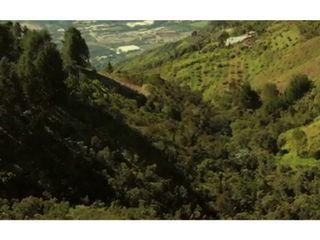 Foto 9 de Lote en venta en Guarne Vereda El Cano
